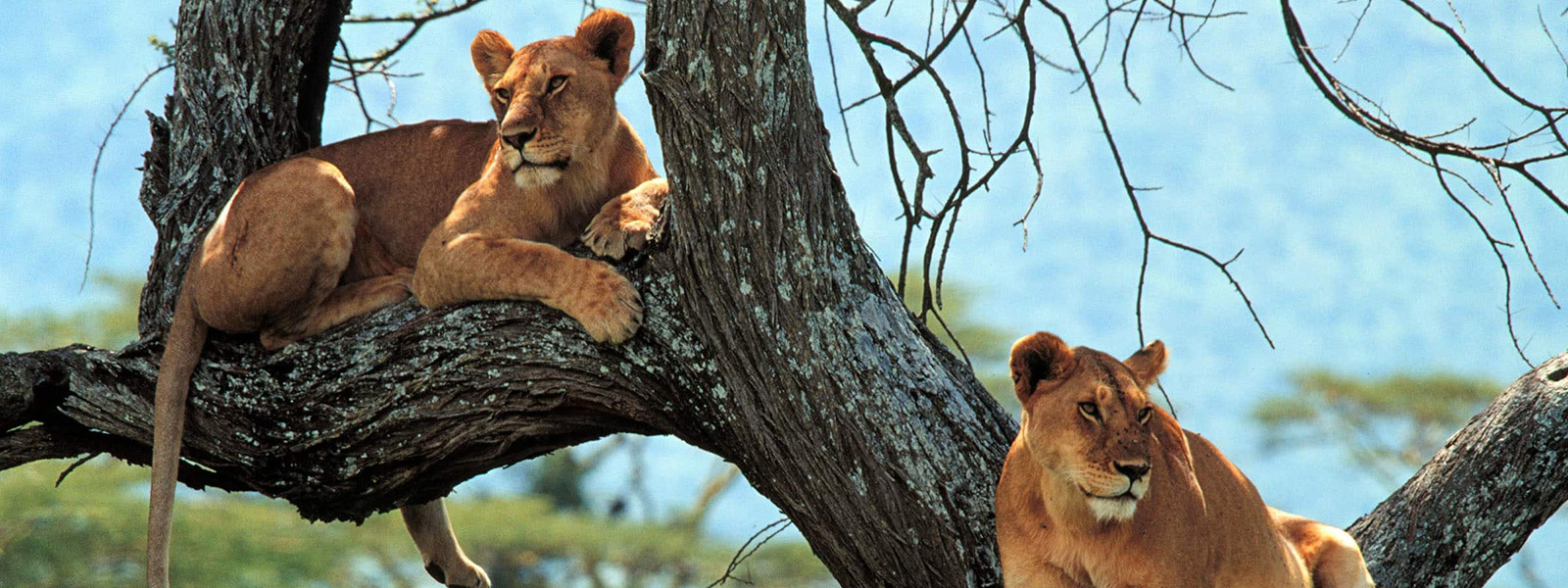 Lake Manyara National Park
