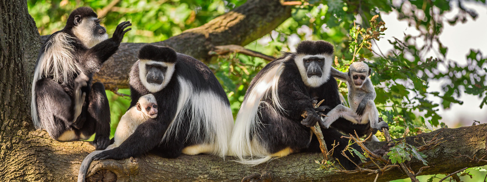 Arusha National Park