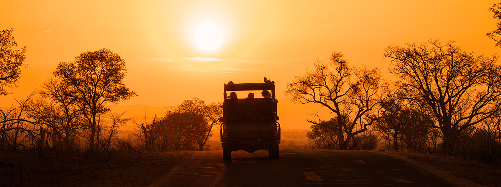 Tanzania Safaris & Tours