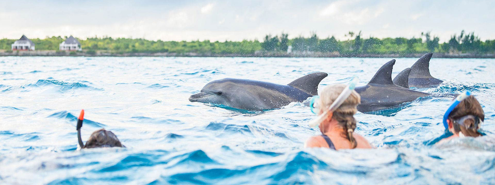 KIZIMKAZI DOLPHIN TOUR